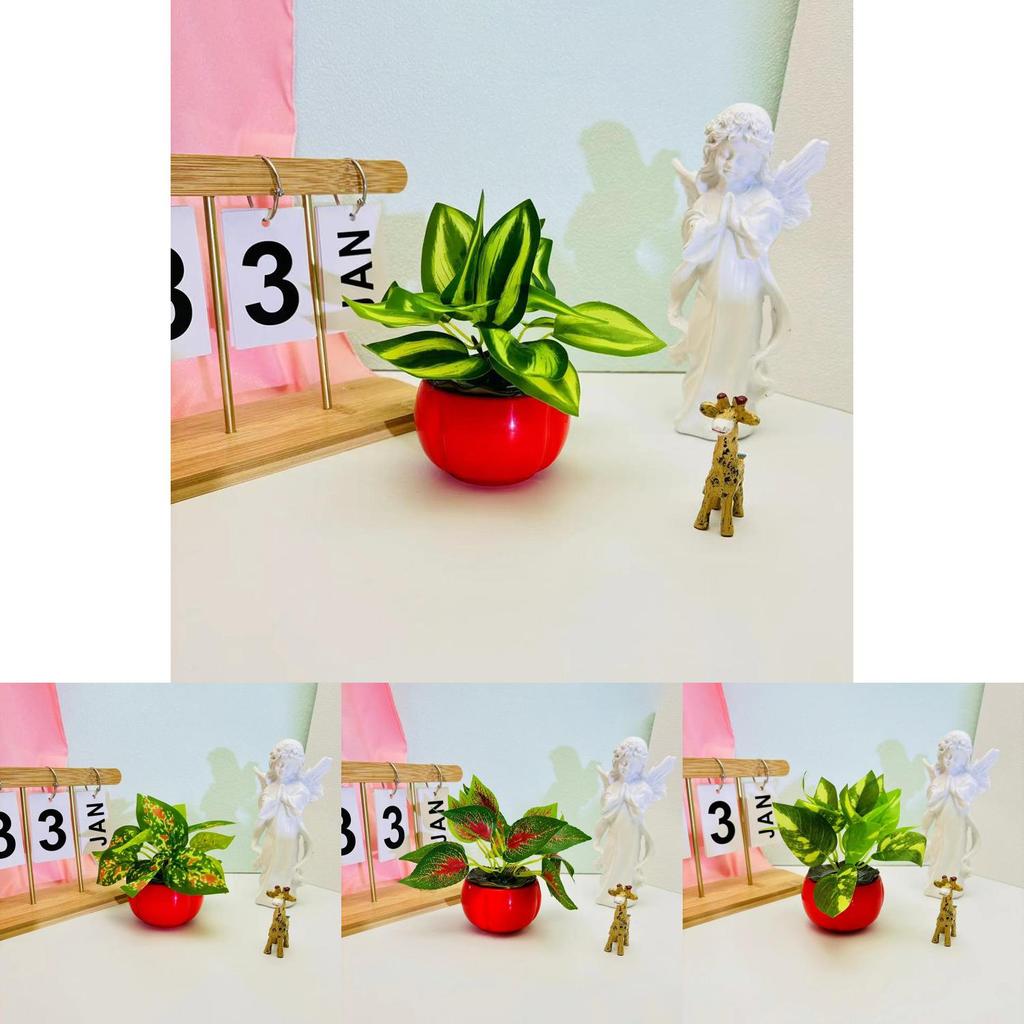 Epipremnum Aureum Artificial Green Plant Container For Holiday Gift And Decor