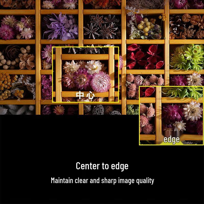 Sony FE 28-70mm F2 GM G Master Full-Frame Lens