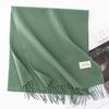 New Solid Color Maillard Imitation Cashmere Scarf for Women Autumn and Winter High End Warm Shawl Simple Scarf