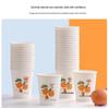 Chahua Thickened Disposable Cups (80-pack)