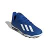 Adidas X 19.3 Round Toe Lace-Up Durable Low-Top Soccer Shoes Kids Soccer Shoes Blue EG1495