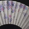 [Stylish Kimono Iroha] Women's Fabric Fan, Dyed Frame, Blossom Blue, Cherry Blossom