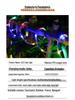 LED Solar Tube String Lights, Outdoor Waterproof Copper Wire, Soft Light Strip for Courtyard Decoration