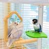 Parrot Stand Toy Bird Leaf Shape Stand Tray Cage Perch Leaf Shaped Interactive Play Gym Toy Tray Bird Cage Accessories