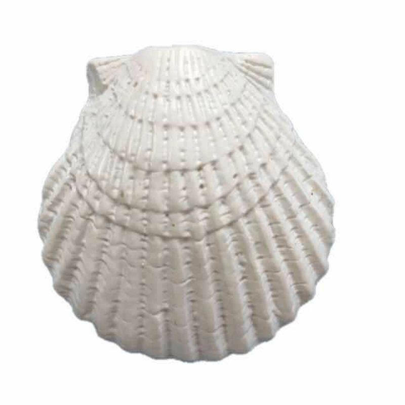 Stelle marine in resina Articoli decorativi per acquario in stile mediterraneo