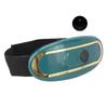 Electric Waist Massage Belt Hot Compress Relieve Pain Waist Slimming Lower Back Heating Massaging