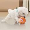 USB Rechargeable Interactive Pet Toy Bite Resistant Automatic Rolling Ball for Cats and Dogs