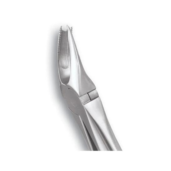 

GDC Extraction Forceps Upper Molars Right Standard - (FX89S)
