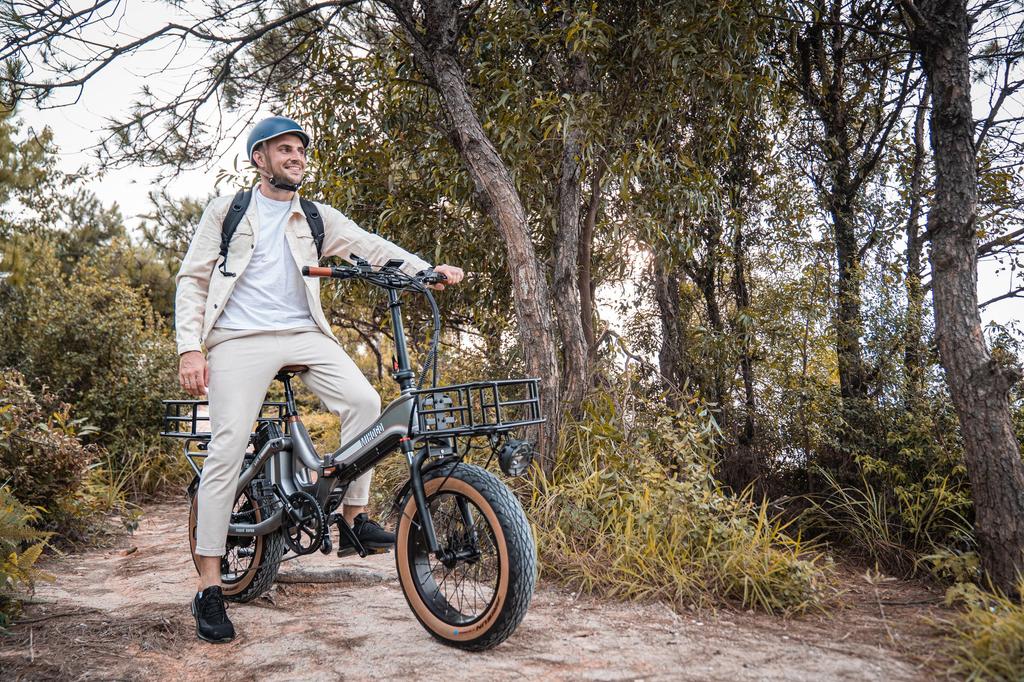 MIHOGO ONE Ηλεκτρικό Ποδήλατο 48V 13Ah+16Ah Μπαταρία, Μοτέρ 750W, Υδραυλικά Δισκόφρενα, Ελαστικά 20*4.0 Ιντσών, Αυτονομία 270KM, Αδιάβροχο Ηλεκτρικό Ποδήλατο IP65