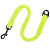 Paradise Extension Joint Official Japanese Dog Leash for Small and Medium Bungee Reduces TRUELOVE J&C Lead, Lead, Retailer, Dogs, Rope, Lightweight,