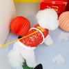 Chinese New Year Pet Clothes Red Puppy Clothing Autumn and Winter Teddy Schnauzer Pomeranian Cat 23 New Year Tang Suit