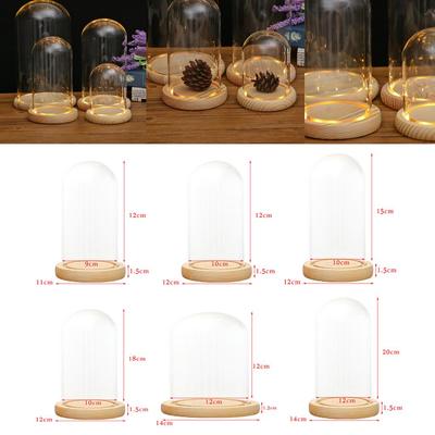 With Wooden LED Lights Base for Home Display DIY Present Wedding, Anniversary, Birthday