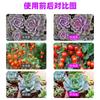 NEW Grow Light Greenhouse LED Grow Lamp Grow Light Bulb Full Spectrum Phyto Grow Indoor Tent Indoor Veg Flower Nursery lamp