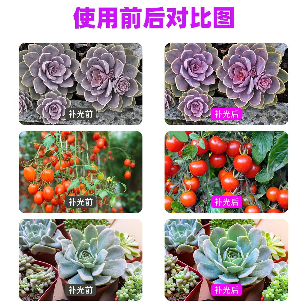 NEW Grow Light Greenhouse LED Grow Lamp Grow Light Bulb Full Spectrum Phyto Grow Indoor Tent Indoor Veg Flower Nursery lamp