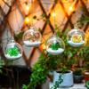 Dropshiping Hanging Glass Planter Round Air Plant Terrarium Decorations With Sling  for Succulent Tillandsia Candle Holder