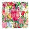 50 Colorful Caladium Leaf Stickers: Realistic Transparent PET for Scrapbooking, DIY & Phone Case Decor