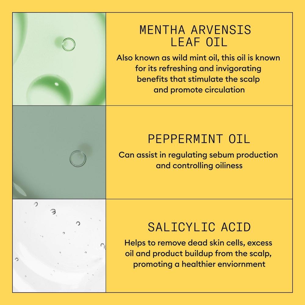 Nioxin Scalp + Hair Thickening System 1 Shampoo 33.8 Oz