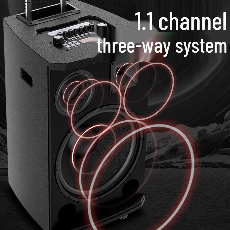 SANSUI L10 Outdoor KTV Trolley Bluetooth Speaker