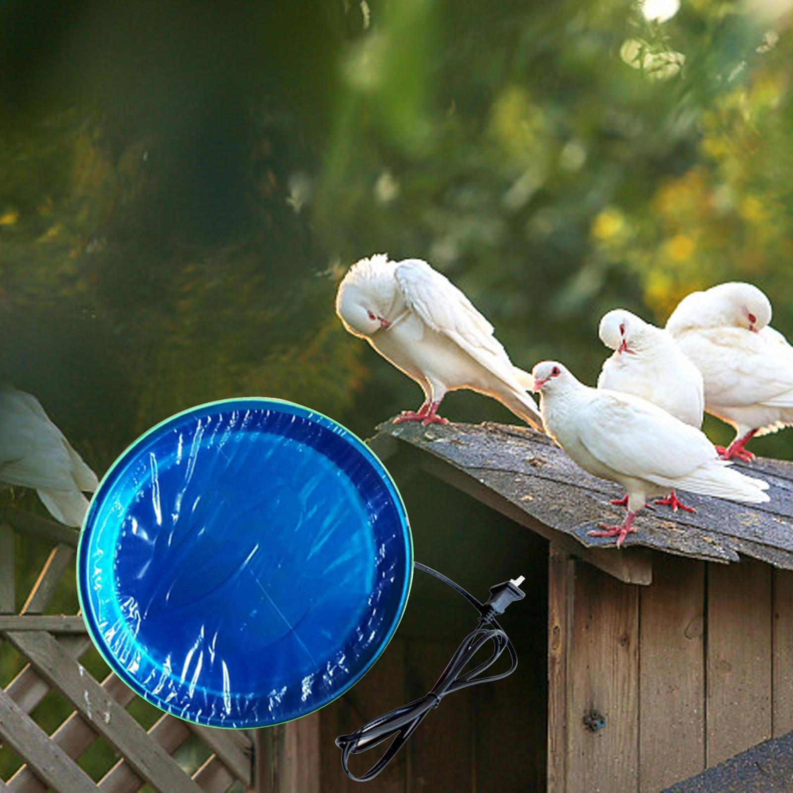 

Птица с подогревом воды и постоянной температурой для домашних животных зимой курица