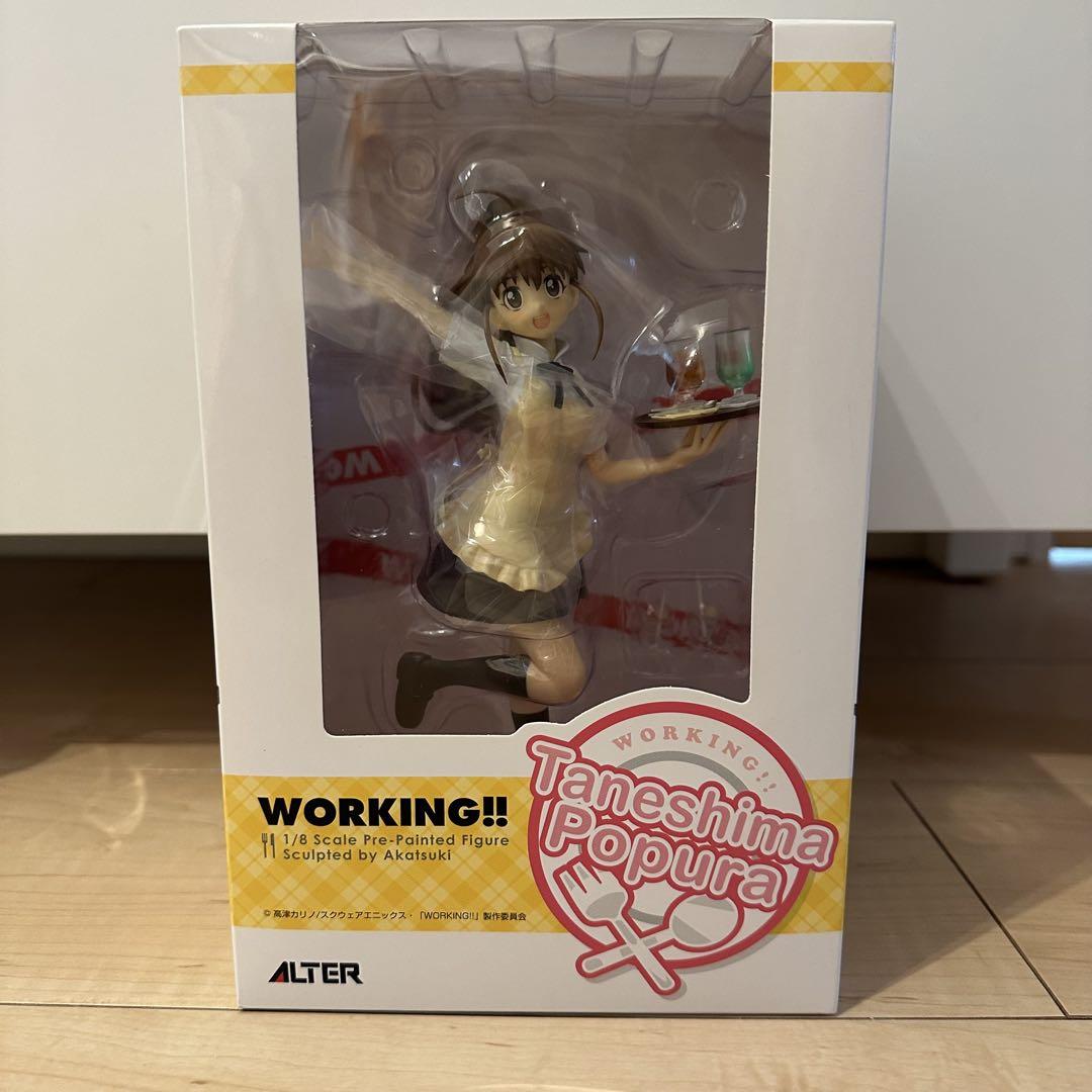 

[USED] WORKING!! Taneshima Poplar ALTER 1/8