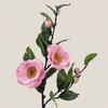 Silk Material Artificial Camellia 58cm Artificial Flower Silk Camellia Flower Green Leaves Multicolor Fake Camellia Flower
