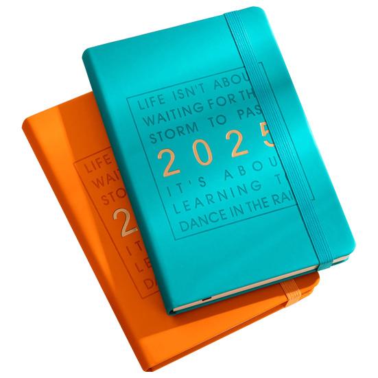 2025 Daily Planner Notebook Comprehensive Daily Organizer Monthly Overview Daily Productivity Planner