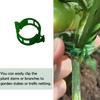 Für Pflanzenunterstützung Rebenclip Garten Gewächshausteile Kunststoff