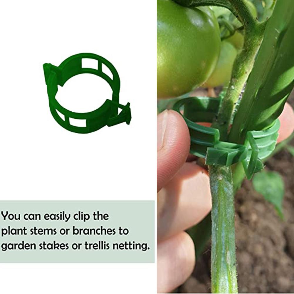 Für Pflanzenunterstützung Rebenclip Garten Gewächshausteile Kunststoff