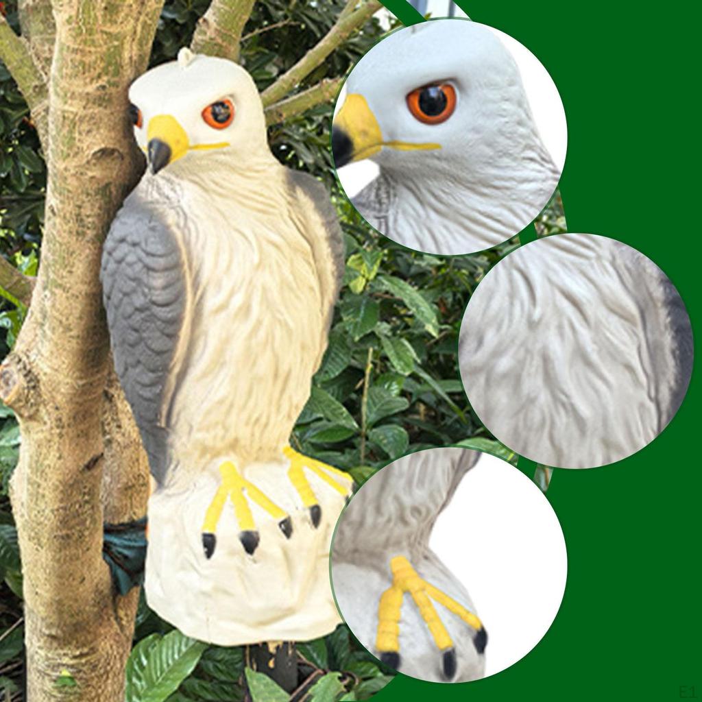 Garden Eagle Ornament Simulated Realistic Versatile Craft Bird Repellent Decoration Deterrent