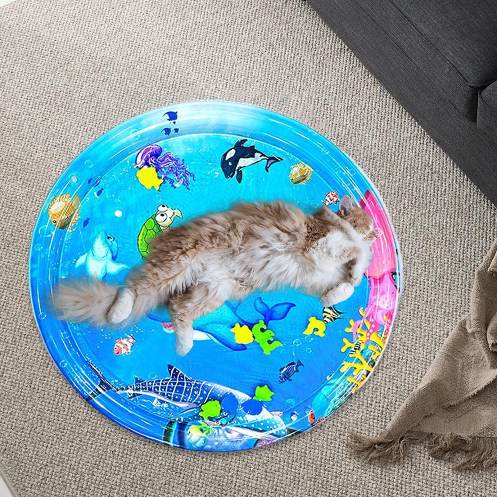 

Коврик для сенсорной игры с водой для кошек Сенсорный коврик для воды с рыбками Интерактивная игрушка для щенков и малышей Надувная подушка с воздушным насосом для дивана и пола CN