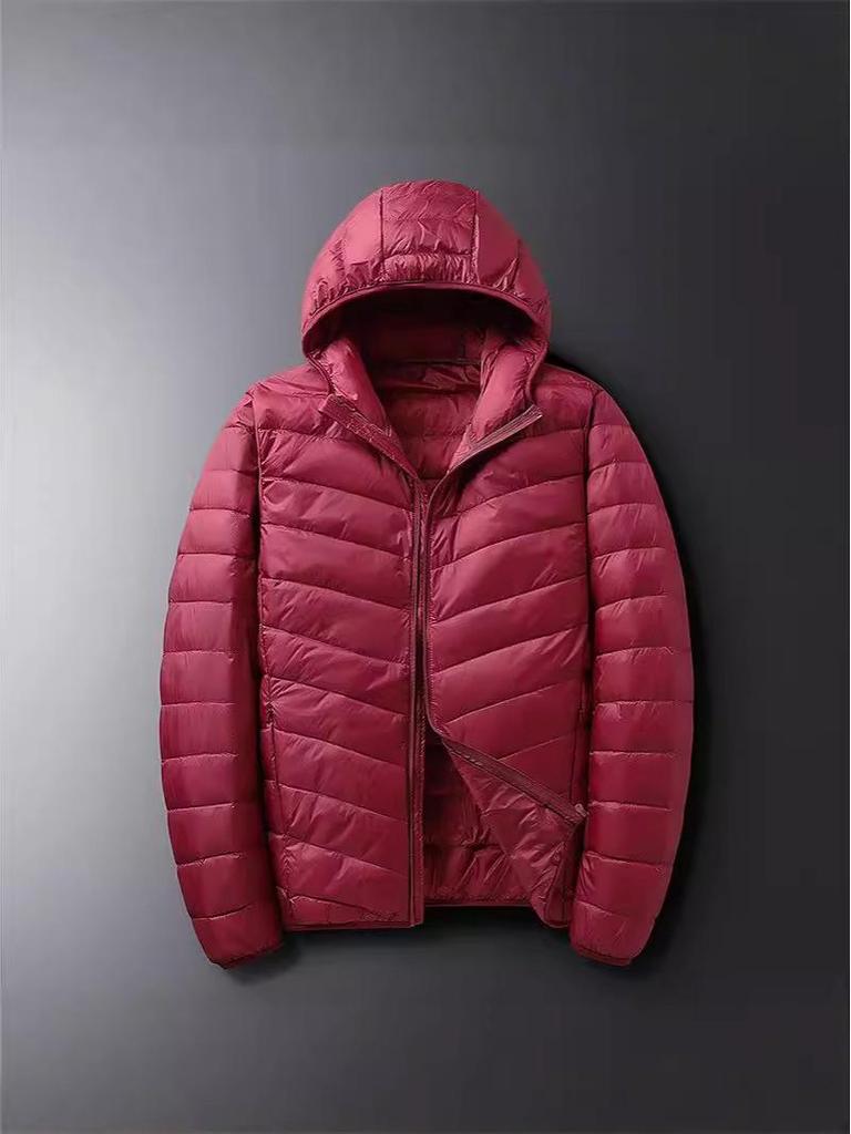 NASA Men's Lightweight Hooded Down Jacket - Winter Fashion, Short, Simple, Packable, Versatile