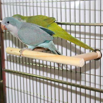 Bidlo pre papagája Stojan pre vtáky Tyč Bidlo do sprchy Stojaca hračka Stojany pre papagáje Platforma Korela Lezenie Stojace konáre Hračka Príslušenstvo do klietky pre korely