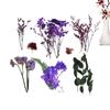 1Box Random Colorful Dried Flower Colorful Nature Flower Plant For Aromatherapy Candle Epoxy Resin Pendant Jewelry Craft DIY