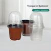 10Set Plant Plastic Seed Stater Clear Cup With Cover Flower Propagation Container Greenhouse Nutrition Cup Flowers Pots