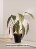 Artificial Green Plants for Indoor Decor – Potted Ornaments for Living Room or Coffee Table