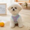 New Dog Summer Cool Clothes Cute Bear Vest Teddy Small Dog Two Feet Cat Pet Clothes Pet Costume