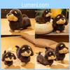 Long Plush Dachshund Dog Toy Soft Stuffed Animal Gift For Kids And Collectors