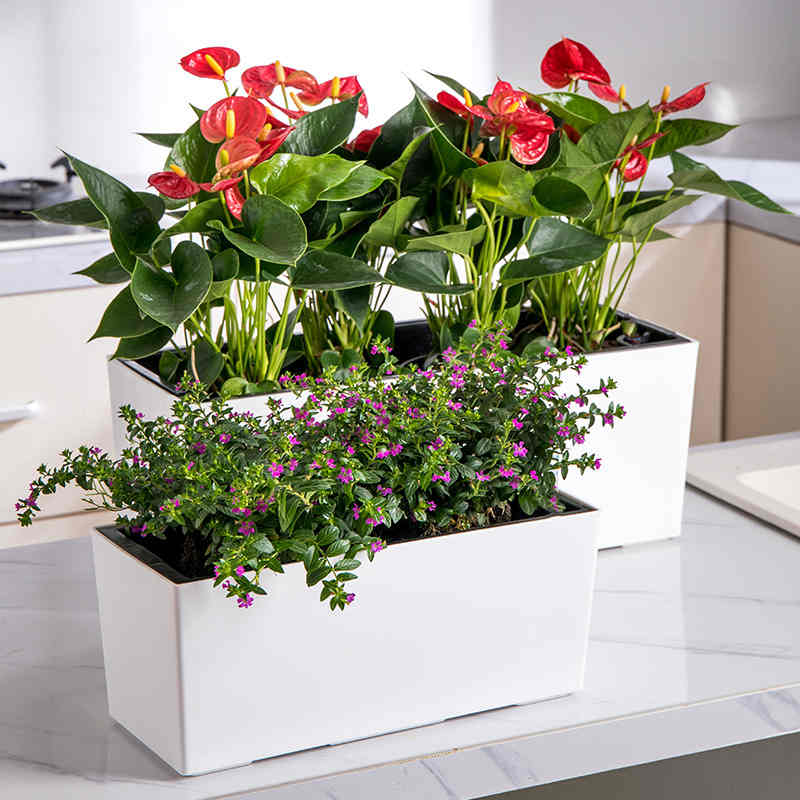 Plant Flower Pot with Water Level Indicator Garden Balcony Bonsai Planting Pot Flower Decorations Rectangular Desktop Planter