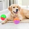 Squeaky Ball Dog Chew Toy TPR Interactive Toys for Dogs Teeth Cleaning Bite Resistance Pet Supplies for Home Outdoors Walking Traveling