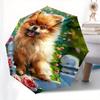 Pomeranian, Garden Theme 8 Bone Hand Automatic Folding Umbrella, Compact and Portable Design, A Perfect Gift for Birthday, Christmas or Busi