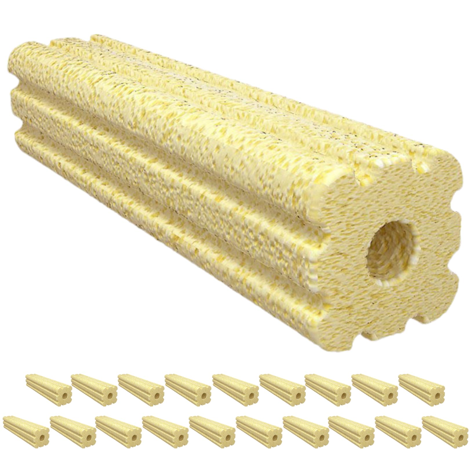 

PLEAVIT Filter Media for Aquariums, Small, Porous, Water Purification, Bacteria Culture, Freshwater, Saltwater (Nano Type, Large, 20 Pieces)