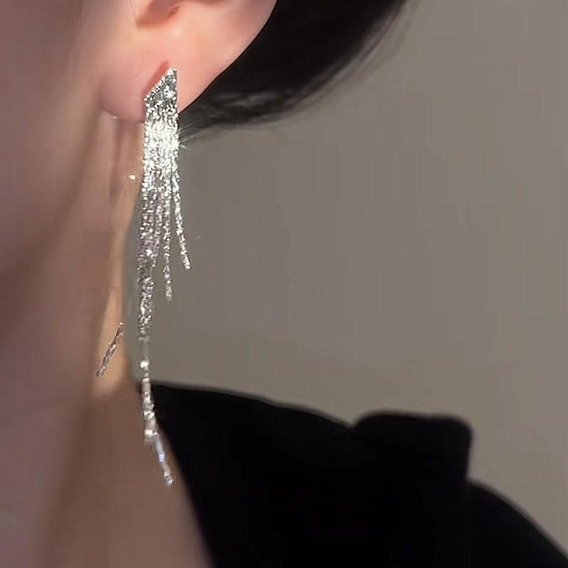 Double-sided Fringed Earrings Temperament Niche High-end Stud Earrings Light Luxury Fashion Simple Earrings Women
