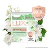 Lux Purifying & Antibacterial Bar Soap