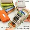Pragma Women's Bellows Card Case, Vertical, Genuine Leather, Holds Many Cards, Italian Leather Wallet with Round Zipper (Ivory)