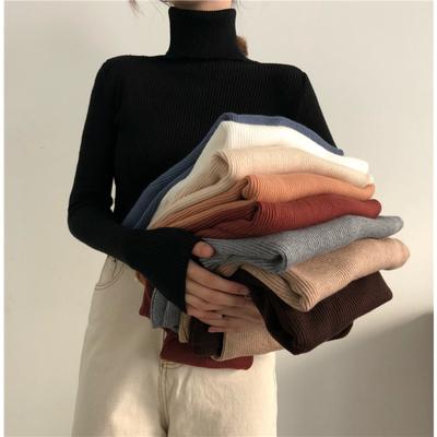 Solid Color, Turtleneck Sweater, Knit Sweater, Undershirt, Women's, Sweater, Outerwear, Top