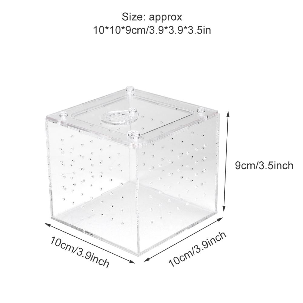 1Pc Reptile Terrarium Feeder Snakes Spider Lizard Breeding Acrylic Box Case Insects House