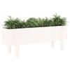 VidaXL Lit surélevé de jardin blanc 101x30x38 cm bois de pin massif 825185