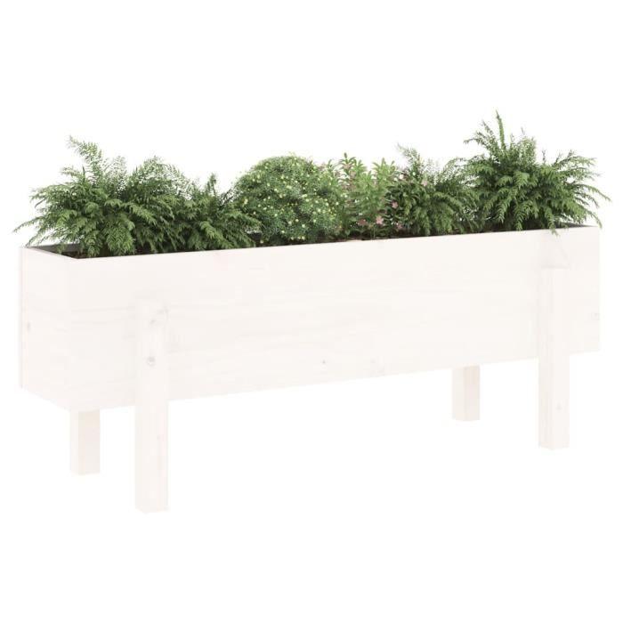 VidaXL Lit surélevé de jardin blanc 101x30x38 cm bois de pin massif 825185