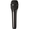 Audio-Technica AT2010 Condenser Microphone XLR Handheld Video Distribution Home Recording Podcast...