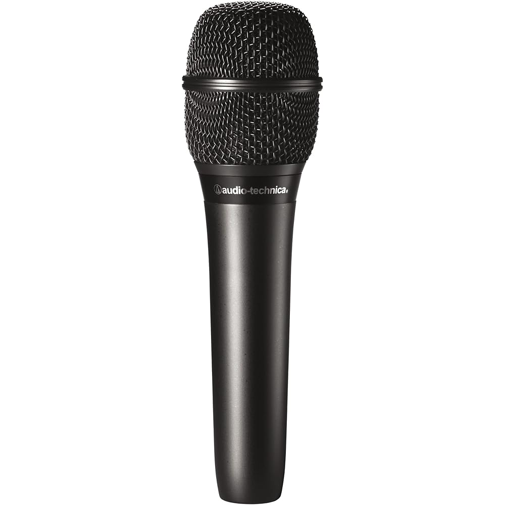 Audio-Technica AT2010 Condenser Microphone XLR Handheld Video Distribution Home Recording Podcast...